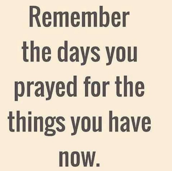 Meet your Posher, Dakota - Picture 2 of 2